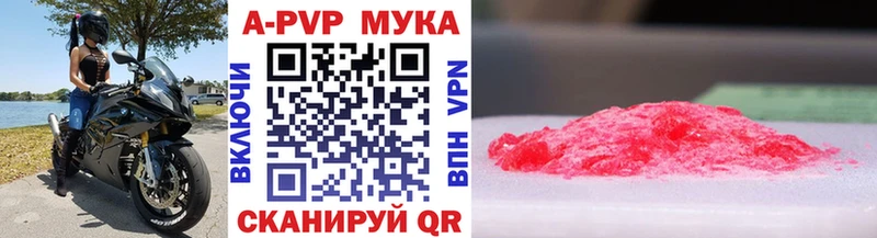 Купить  Новая Ладога  APVP крисы CK 
