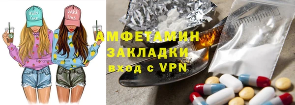ГАЛЛЮЦИНОГЕННЫЕ ГРИБЫ Горно-Алтайск