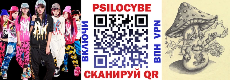 Купить закладки  Новая Ладога  Псилоцибиновые грибы мицелий 