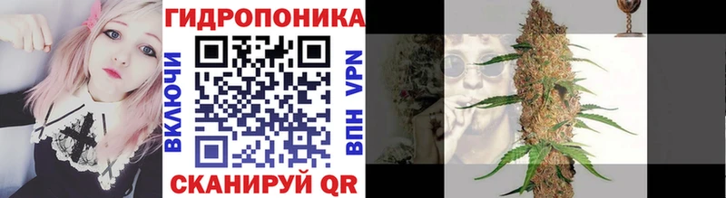 Бошки Шишки OG Kush  Купить где  Новая Ладога 